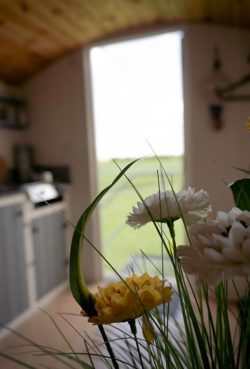 Maple Hut Four Acre Farm Hotell Aylsham Eksteriør bilde